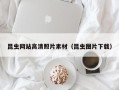 泰兴昆虫网站高清照片素材（昆虫图片下载）